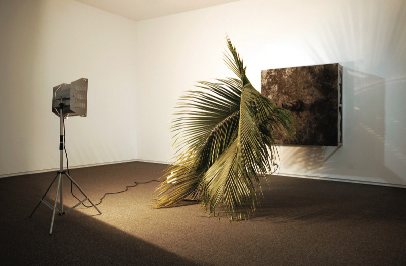 Henrik Hakansson, 无题(Cocos Nucifera), 2006, 混合媒体装置，展出于House画廊，North Vancouver, British Columbia, 2007.