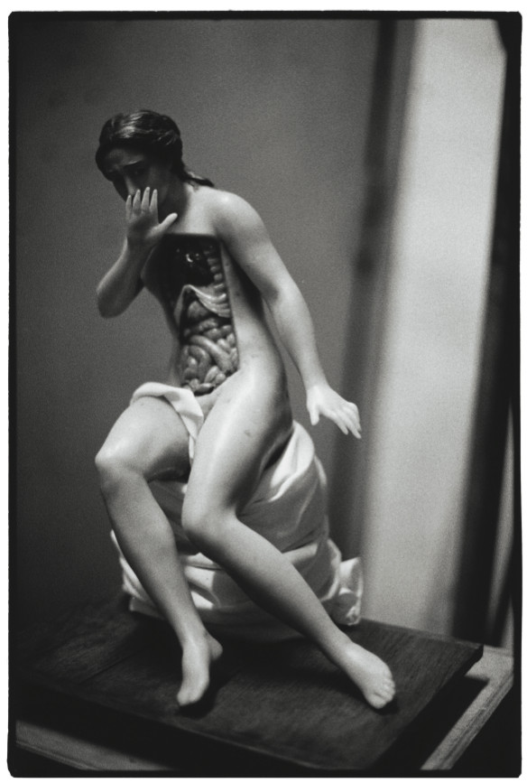 Zoe Leonard, Seated Anatomical Model, 1991, black-and-white photography, 19 3/4* 13 1/2"
