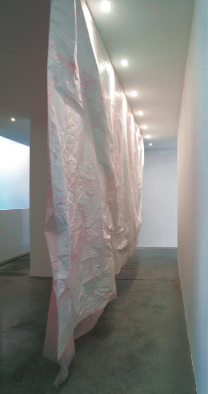 Karla Black, Division Isn't, 2008, paper, paint, chalk, polyyethylene, and Sellotape. 装置展示，Gisela Capitian画廊，科隆。