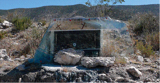 加布里埃尔•奥罗斯科、《挡风玻璃上有子弹洞的神坛》、2009、彩色摄影、53×69cm。