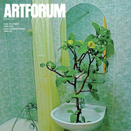 封面：傅丹（Danh Vo）的艺术家图书Hic Sunt Leones上的摄影图片（与Julie Ault合作；巴塞尔美术馆，2009）。