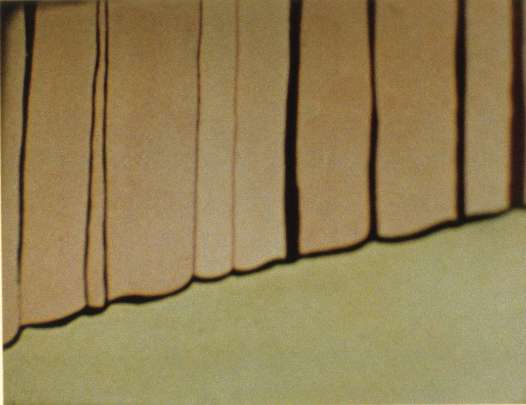 詹妮弗•博兰德,《卡通窗帘》（局部），1982，彩色照片，81 x76cm