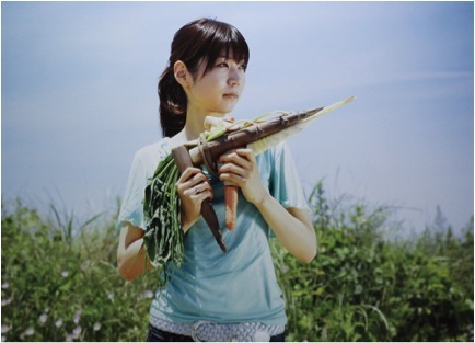 小沢刚, 《蔬菜武器》(炖菜和鸡), 京都, 2008, 彩色摄影, 113x 156cm。