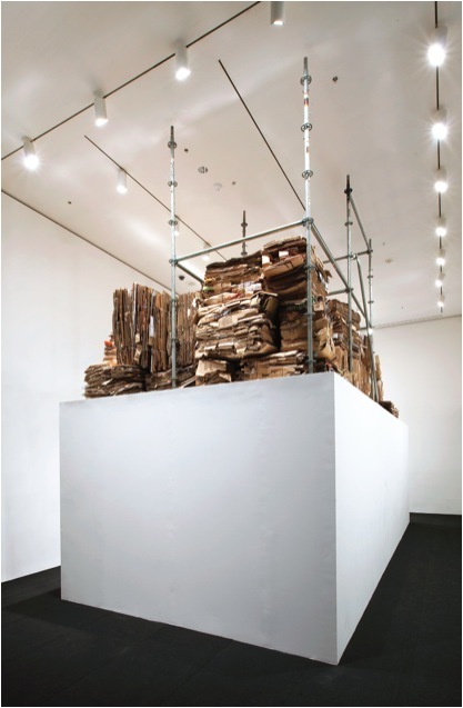 《89号项目：克拉拉•利登》，纽约现代艺术博物馆，2009年。