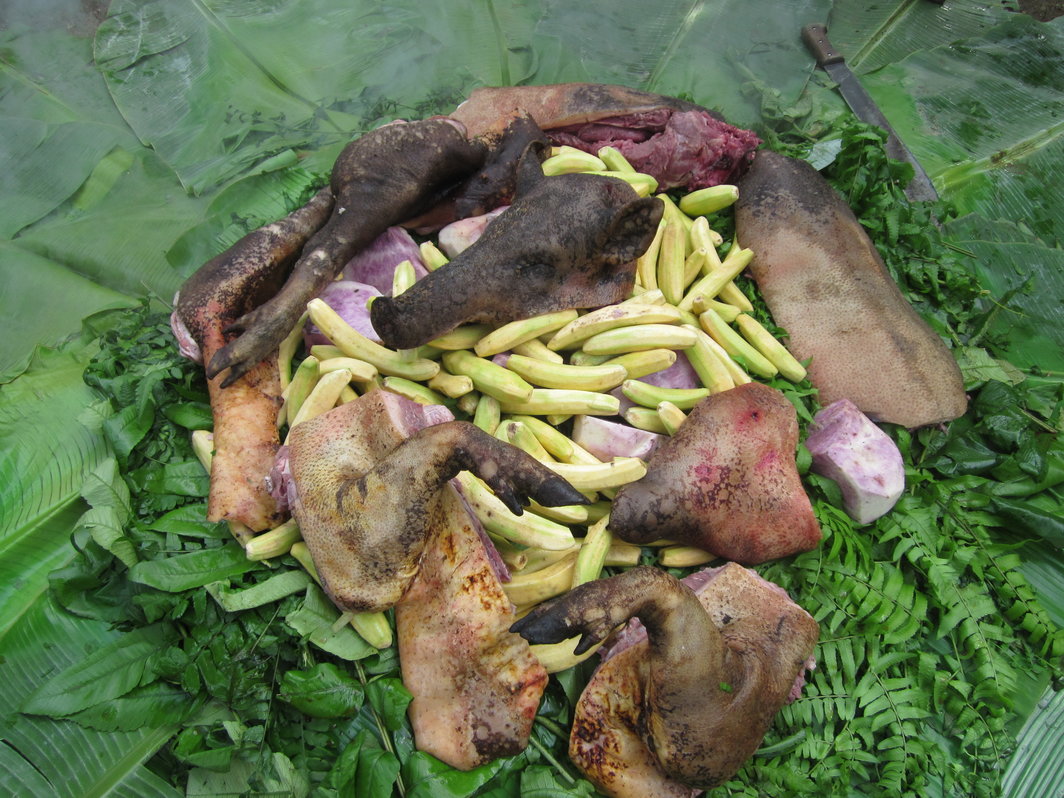 传统食物Mumu，材料包括野猪肉、香蕉、芋头、蕉叶.