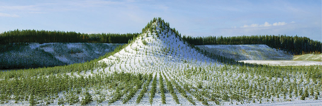 阿格尼丝·丹尼斯, 《树之山——有生命的时间胶囊》，1992-96，于勒耶尔维，芬兰.