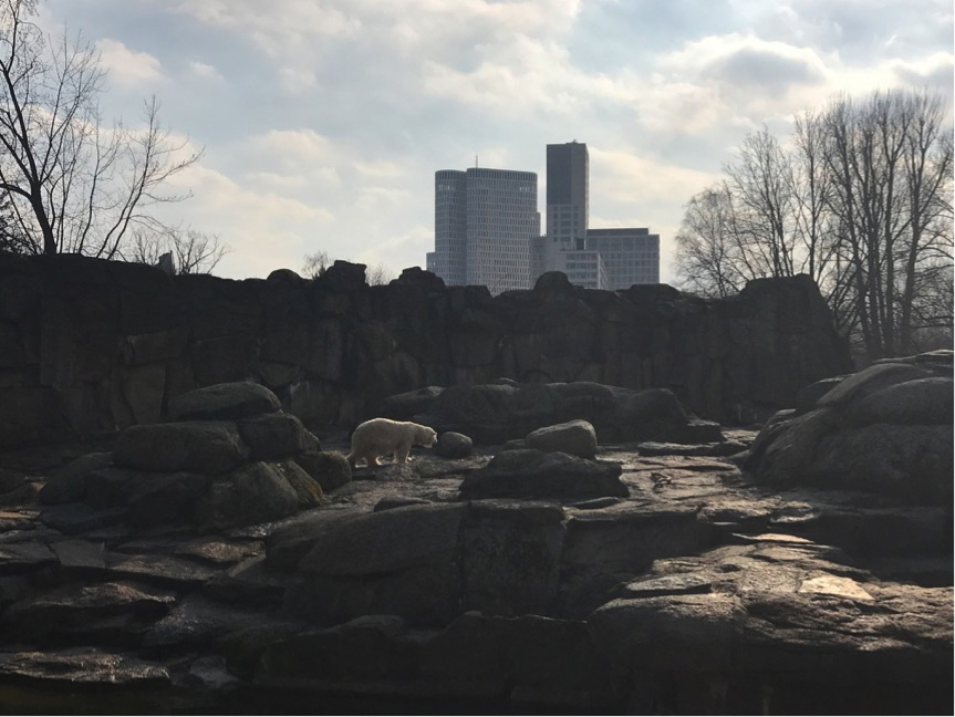 位于西柏林区域动物园 的ZOO Berlin；图片提供：柴觅.