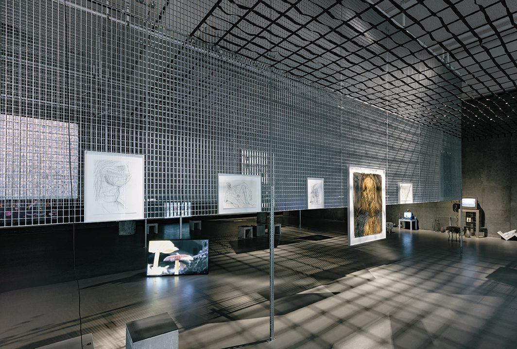 “不自由艺术”展览现场，2021，柏林世界文化宫. 图片：Studio Bowie.