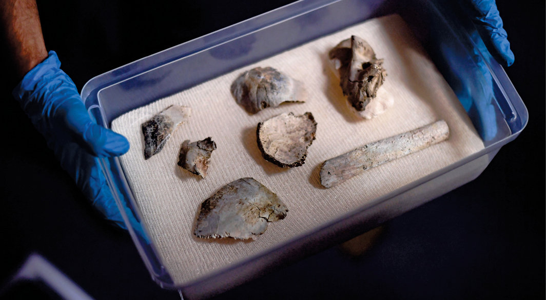 2018年10月19日里约热内卢国家博物馆火灾后遗存的具有11500年历史的“露西亚”人体骨骼残骸碎片. 图片来源：Carl De Souza/AFP via Getty Images.