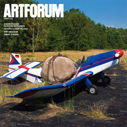 封面：吉米•德拉姆（Jimmie Durham）《安静依旧》, 2008, 岩石，金属，飞机，大约9' x 26' x 26'.