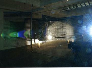 杨海固、《致命的爱》局部、2008、多媒体。 装置现场、伦敦Cubitt。
