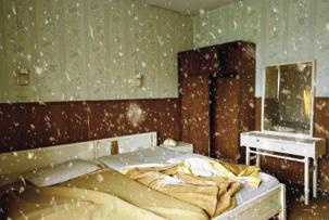 Apichatpong Weerasethakul、《葱翠》、2007、 彩色录像截图、11分20秒。2008新加坡双年展。
&nbsp;