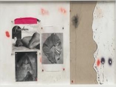 Amanda Ross-Ho 、《静物》、（《表达的自由》）、2007 、石膏板商标上丙烯、 静电复印、针、胶带、麻、56×112 厘米。