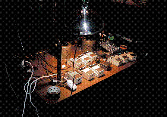 麦克卢尔在布鲁克林的工作室准备一场在纽约的X Initiative的表演、2009年7月28日。