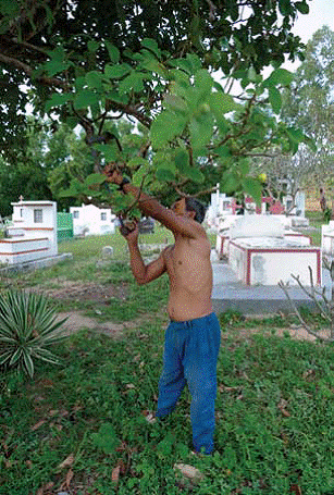 图片选自傅丹的艺术书《Hic Sunt Leones》（与Julie Ault合作；巴塞尔美术馆 2009）