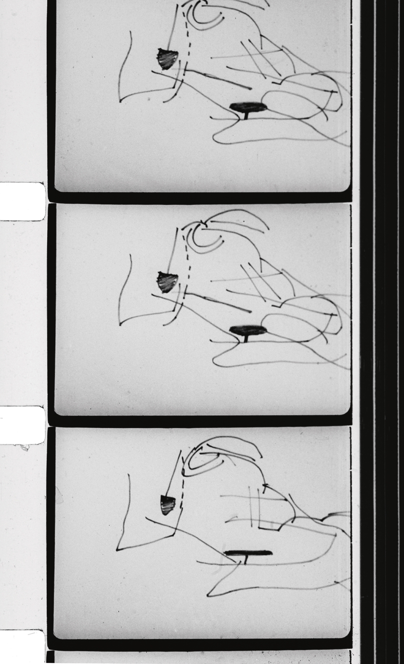 布里尔，《户外遛狗的人》，1957，黑白电影连续剧照。