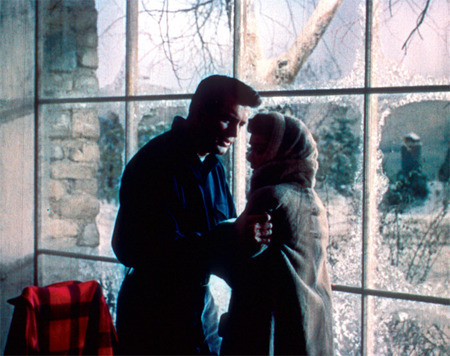 塞克、《天堂允许一切》、1955、35毫米、彩色影片剧照、89分钟。
Ron Kirby（洛克-哈德森）Cary Scott（简-怀曼）
&nbsp;