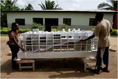 Kudjoe Affutu和学徒在他的工作坊前， 阿瓦图，加纳，2010年6月30日。