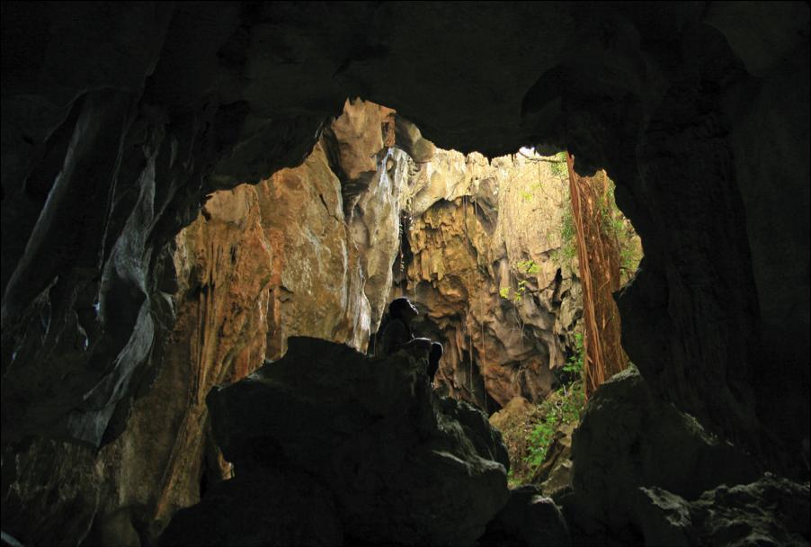 阿彼察邦、《能召回前世的布米叔叔》、2010、彩色影片剧照、 16毫米转35毫米、 114分钟。小董 (Sakda Kaewbuadee).