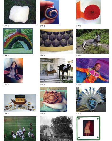 波莉-阿法鲍姆的《鬼屋》索引图，2011.