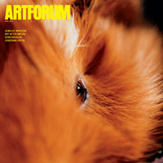 封面：约瑟芬•普莱德《规模I》（局部），2012，彩色照片，41 3/4 x 31 7/8". “规模”系列，2012。