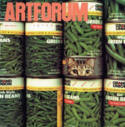 Gabriel Orozco, Cat in the Jungle, 1992, Cibachrome photograph, 12 1/2 x 18 3/4".