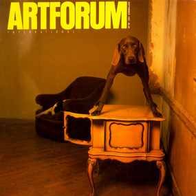 William Wegman, untitled, 1985, color transparency. See p. 76.
