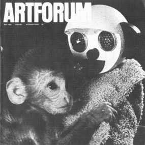 哈里F.哈罗（Harry F. Harlow）于1958年所做的调查 “猴子中的母爱”中 纪实摄影。&nbsp;
