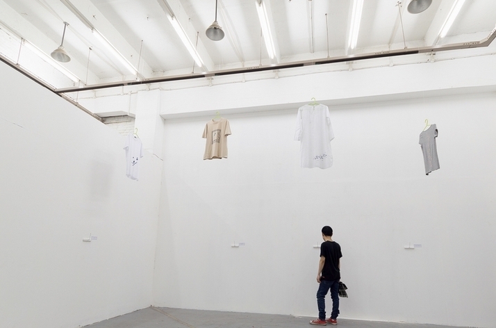 Tooraj Khamenehzadeh &amp; Negin Mahzoun，“穿越文字”展览现场，2013.