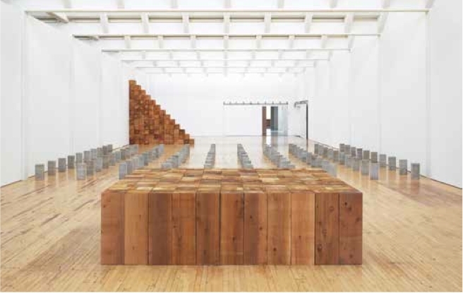 “卡尔·安德烈：作为场所的雕塑，1958-2010”展览现场，2014.
