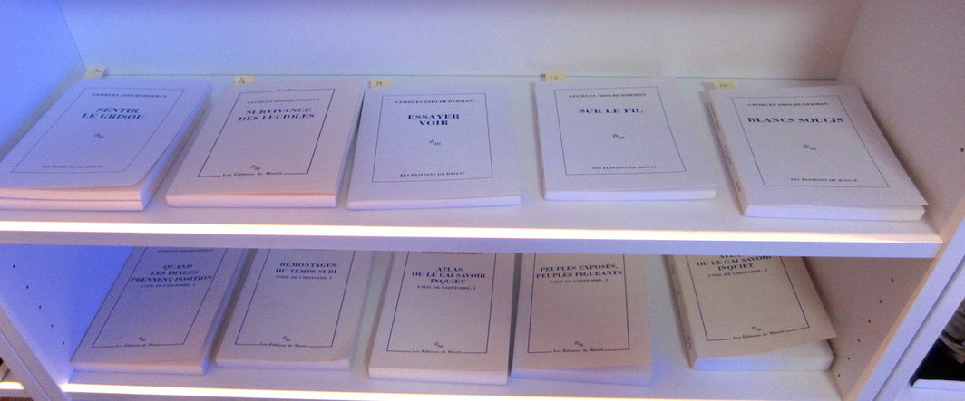 OCAT北京搜集的关于乔治·迪迪-于贝尔曼的书籍资料.