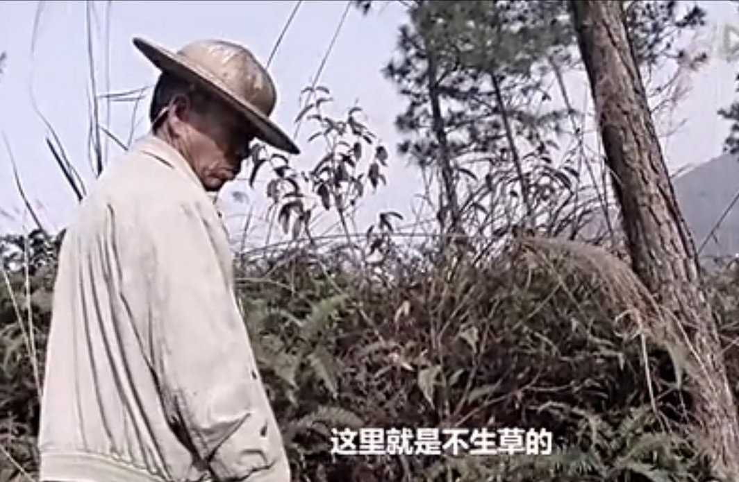 杨平道，《生命的河流》，2014，103分钟，剧情/记录