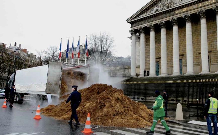 蒂埃里·博尔内在法国国民议会大楼前倾倒的马粪，巴黎，2014年1月16日.摄影：路透社/Jacky Naegelen.