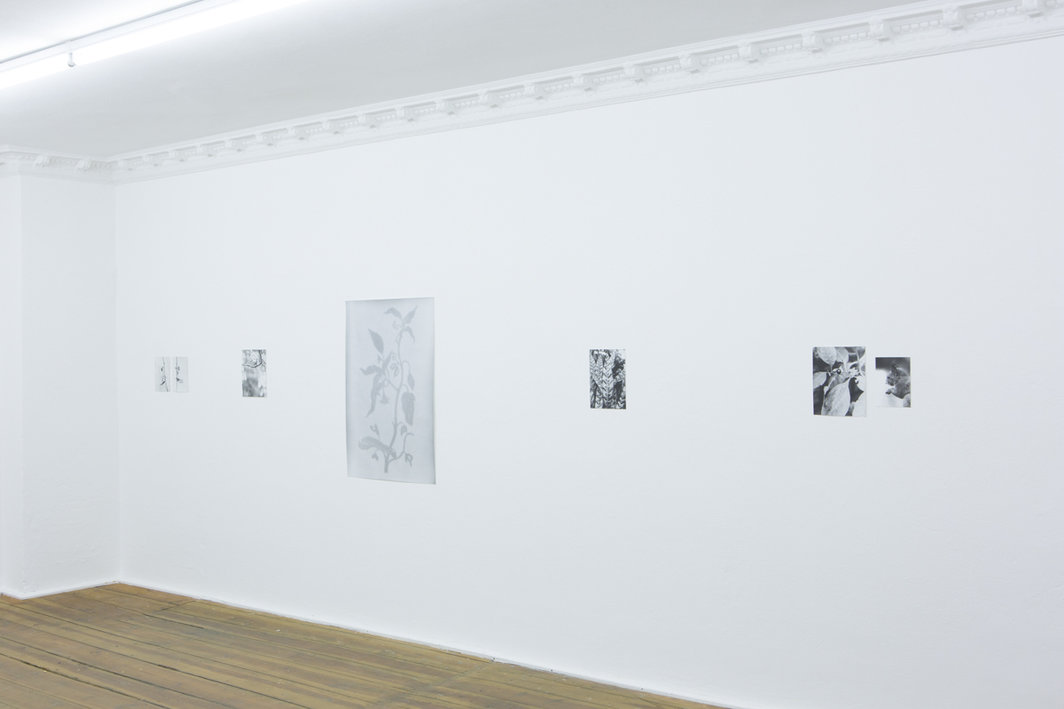 冉森·兰伯特个展展览现场，2015-2016.