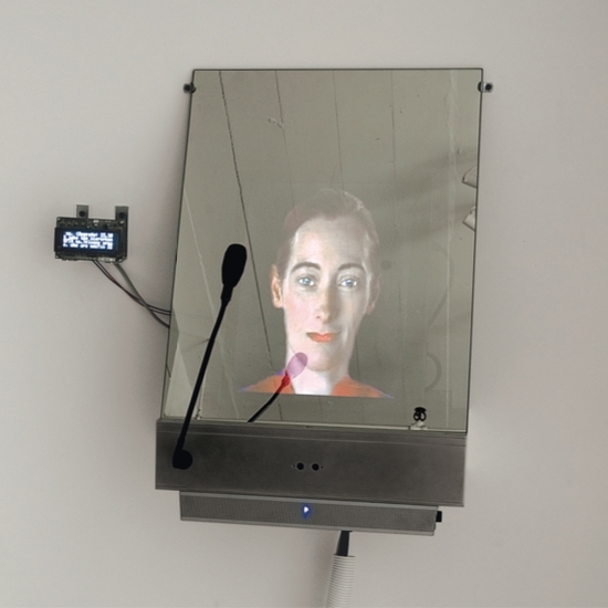 琳恩·赫斯曼·丽森，《DiNA》，2004，互联网、人工智能软件、录像、麦克风，尺寸可变.