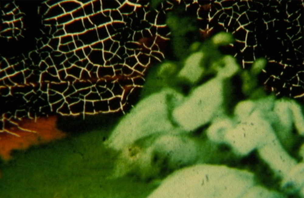 史文华，《Endless》，2006，彩色，立体声，16毫米胶片，12分钟.