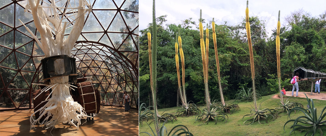 左：Inhotim中马修·巴尼的作品；右：Inhotim中的热带植物和奥拉维尔·埃利亚松的作品.