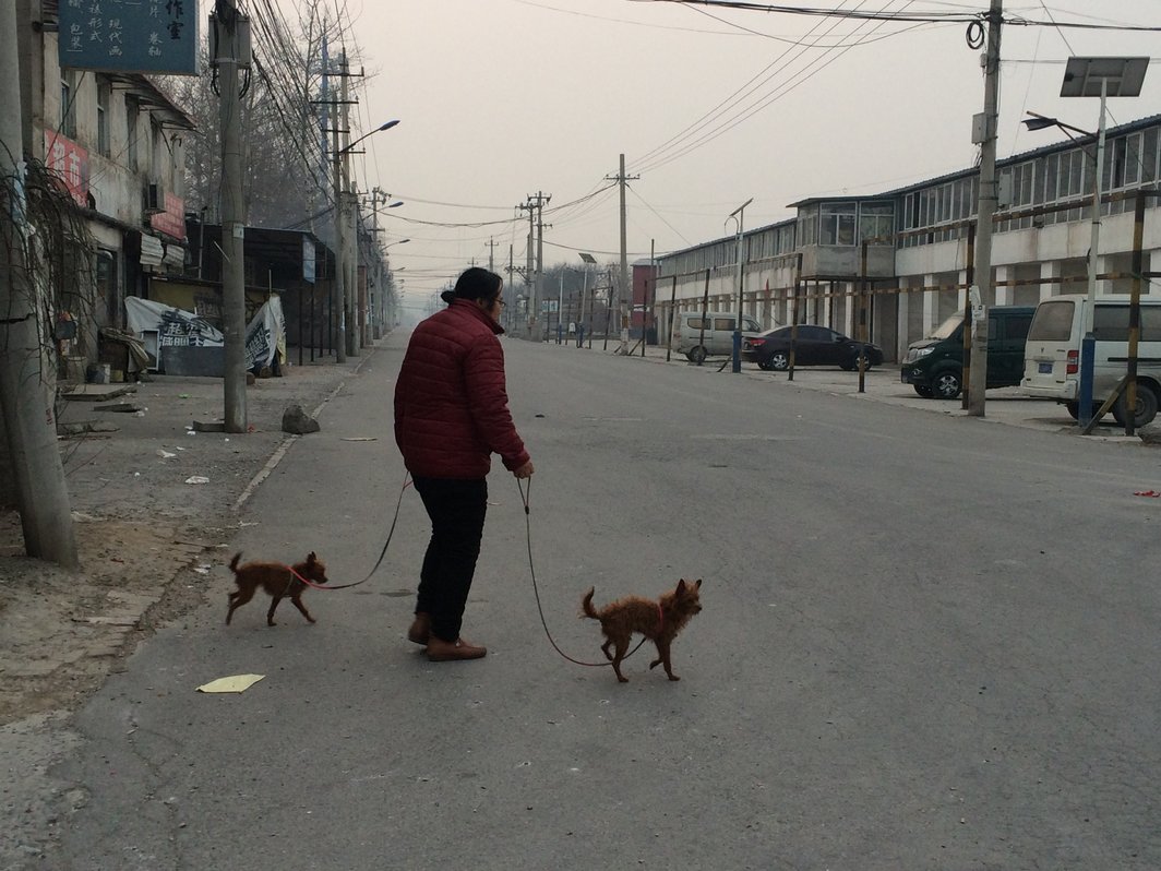 亚麻李老太拆了招牌放了鞭炮继续遛狗，她看不清我这个熟悉的顾客，不让我拍照. 