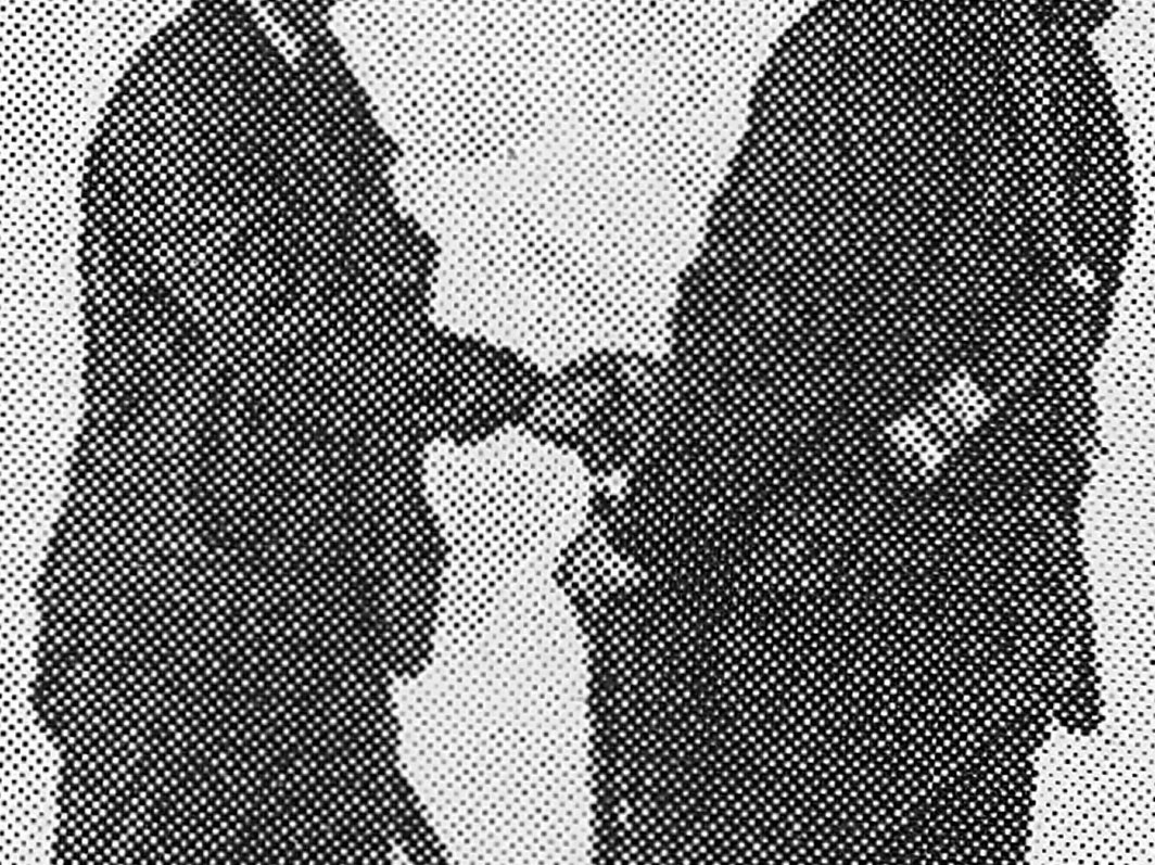 施昀佑，《局部图，原图为“南森（右）巧遇杰克森之摆拍握手照片，杰克森欢迎南森造访他在佛罗拉角之基地站”，翻拍自费洛夫・南森于1897年出版之航海日记〈最远的北方〉》，1896，2016，相纸喷墨输出，24 x 18 cm.