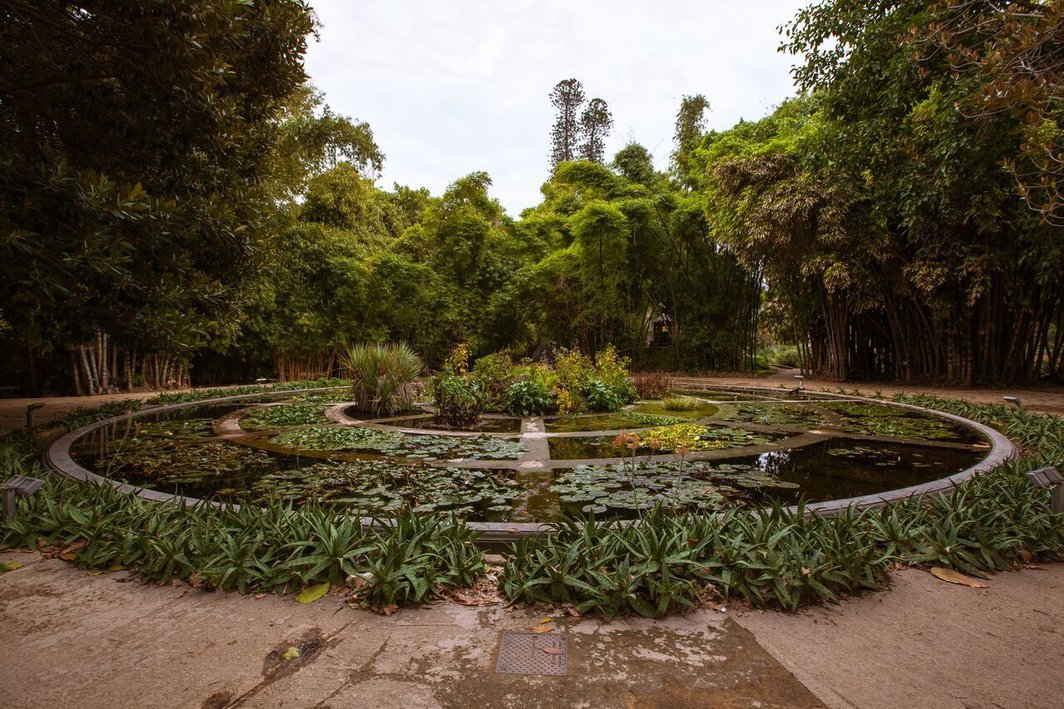 巴勒莫植物园的“水族馆”，三个同心圆每个分成八格，每格中生长着不同的水生植物. 摄影：CAVE Studio. Manifesta 12惠允.