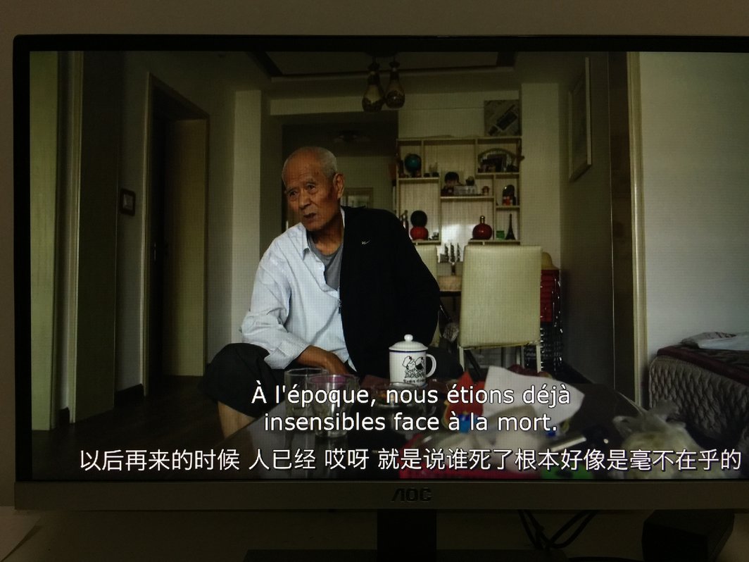 王兵，《死灵魂》，2018，彩色，有声，496分钟. 刘伟伟在家翻拍.