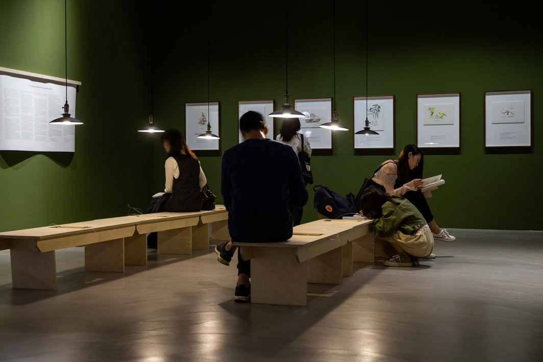 吴明益，“苦雨之地”在2018台北双年展的展览现场.