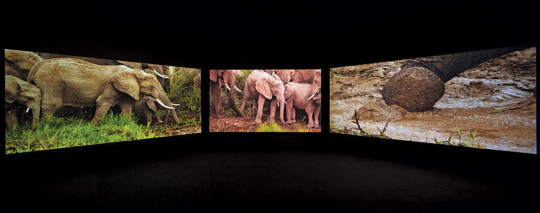 John Akomfrah，《四段夜曲》，2019，三频高清录像，彩色，有声，50分钟；来自“加纳自由”，加纳馆，威尼斯.