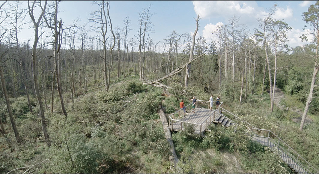 Rugilė Barzdžiukaitė，《酸性森林》，2018，高清录像，彩色，有声，63分钟.