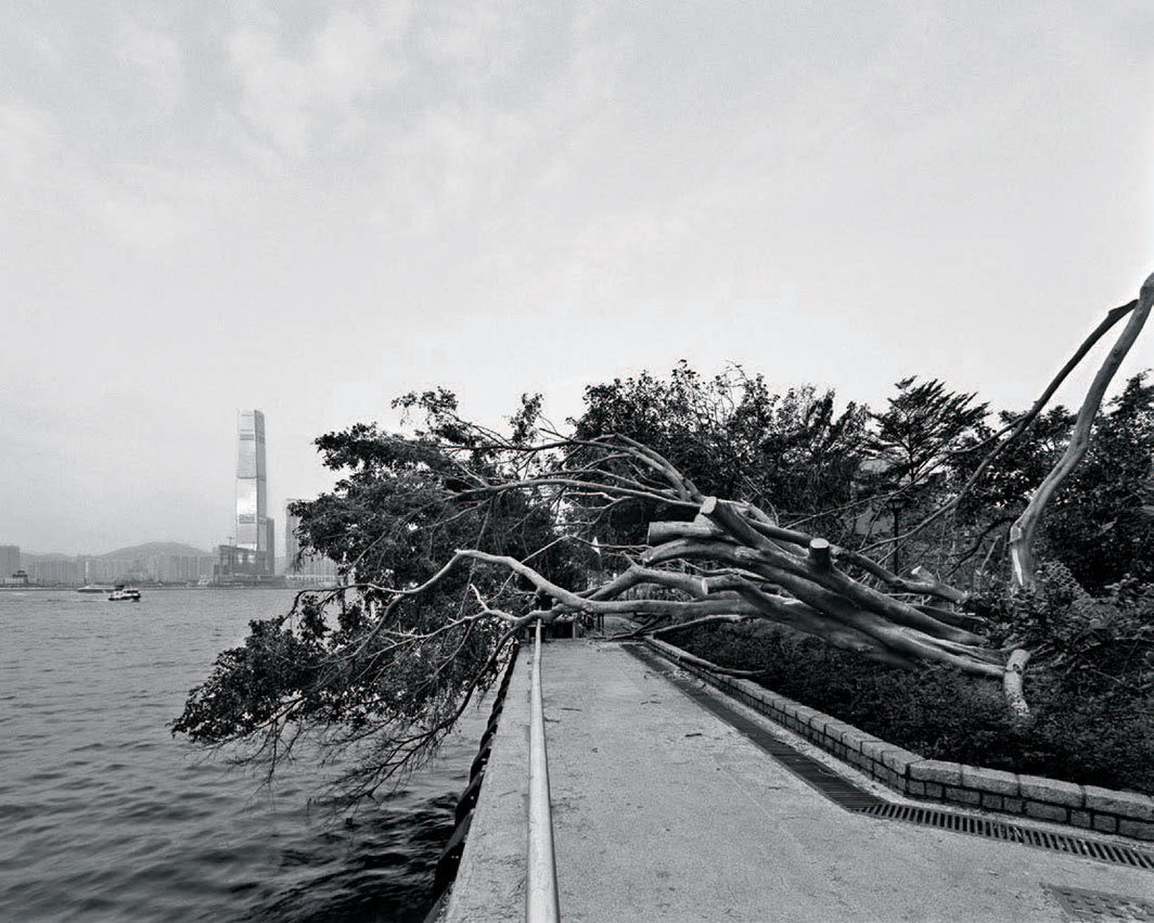 何兆南，《树的留白III》，2018，喷绘打印，16 × 20"，来自“树的留白”系列.