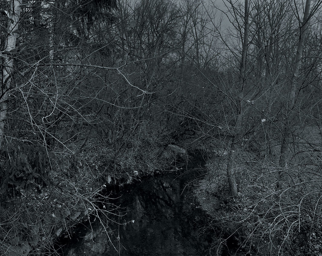 达伍德·贝，《无题#19（小溪和树木）》，2017，黑白银盐照片，44 × 55". 来自“夜色温柔而至，黑”系列，2017.