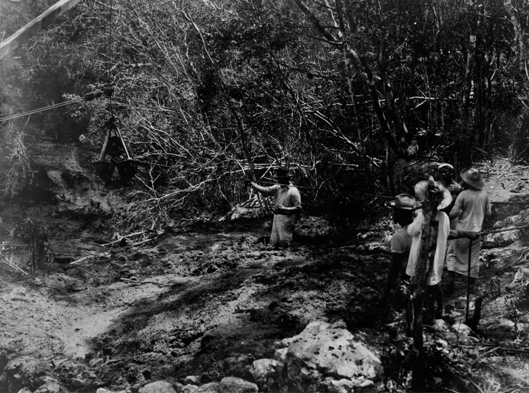 神圣赛诺特天坑，墨西哥尤卡坦半岛奇琴伊察，约20世纪初. 图片来源：哈佛大学皮博迪考古学和民族学博物馆.
