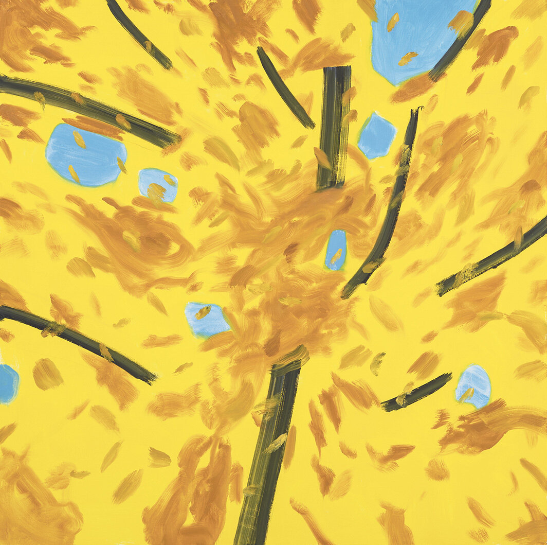 亚历克斯·卡茨，《黄色的树1》（Yellow Tree 1），2020，亚麻布面油画，72 × 72". © Alex Katz/Licensed by VAGA at Artists Rights Society (ARS), NY.