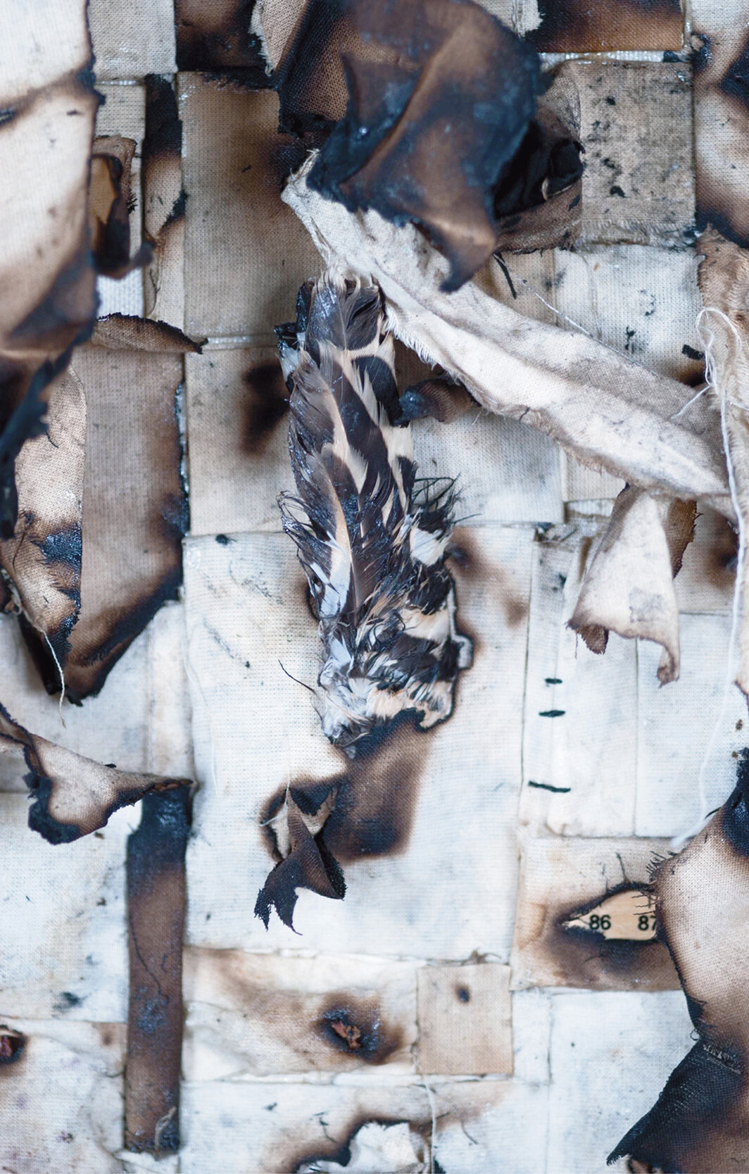 哈娜·马拉拉，《裹尸布IV》（局部），2012，烧毁的帆布、植物、沙子、种子、木制数字、鸟标本、灰、烧毁的白棉布，59 × 59". 