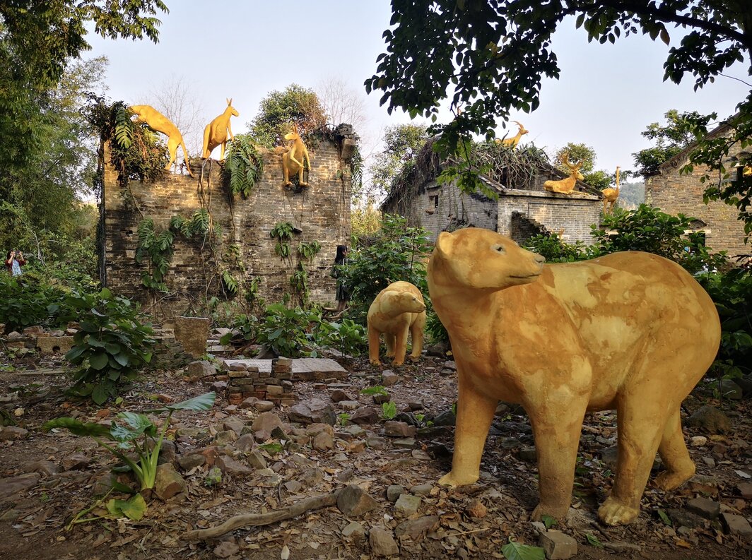 《豹猫和它的朋友们》在荒弃的凰岗村.